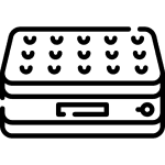 Saltele