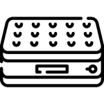 Saltele